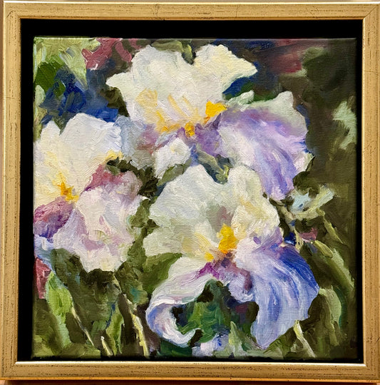 "Morning Iris", 14 x 14